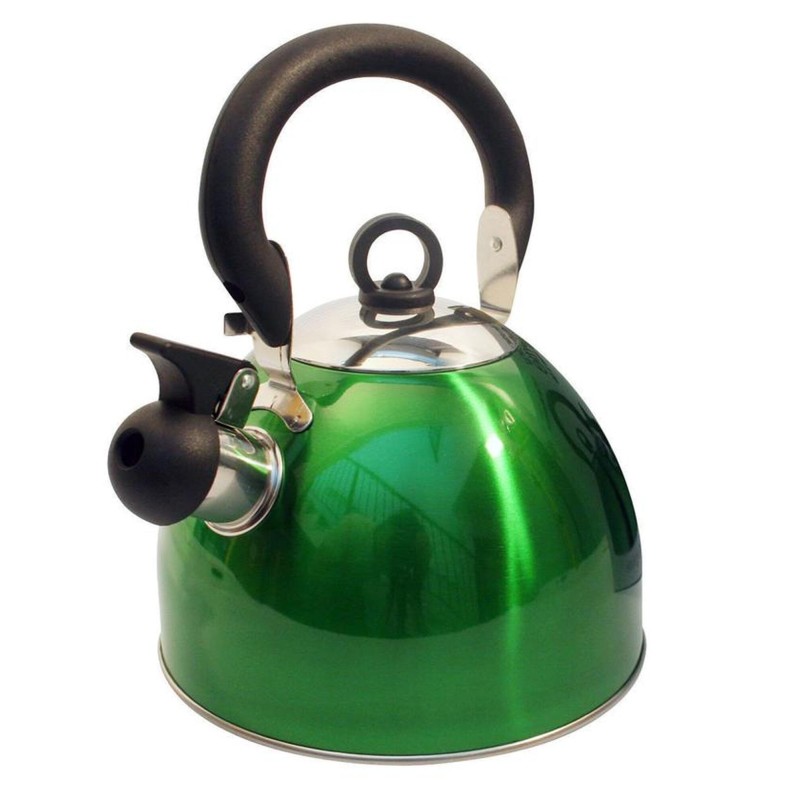BOUILLOIRE INOX 2,5L VERTE