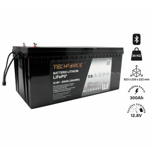 BATTERIE LITHIUM LIFEPO4 12...